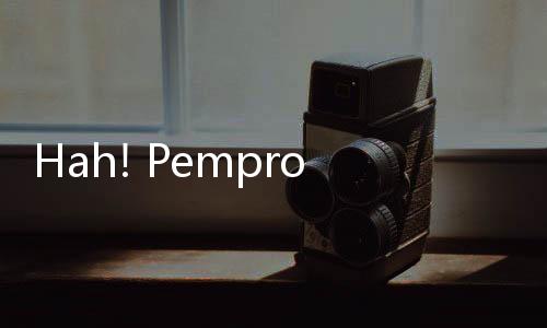 Hah! Pemprov DKI Punya Alat USG Pohon? Gimana Tuh Kerjanya?