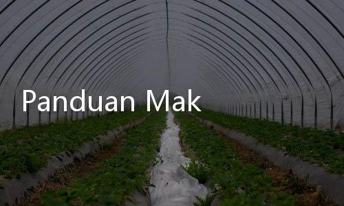 Panduan Makan Bergizi Gratis di Pesantren Sesuai Surat Edaran Kemenag, Berikut Isinya!