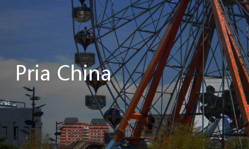 Pria China Bertekad Mendaki 50 Gunung dengan Posisi Handstand