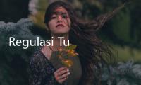 Regulasi Turunan UU Perlindungan TKI Perlu Segera Dibuat