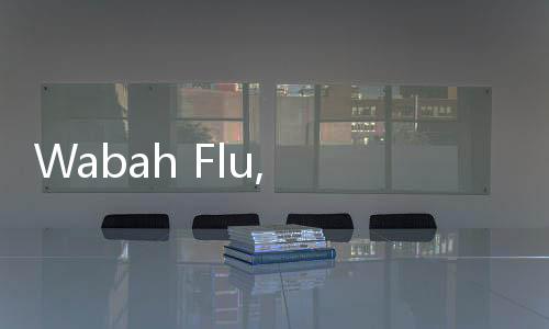 Wabah Flu, Pelancong Penyakit Kronis Disarankan Tunda ke China