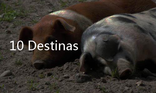 10 Destinasi Wisata Wajib Dikunjungi di 2024